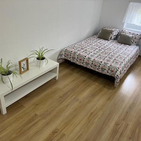 Green Apartment - Free Parking Katowice Extérieur photo