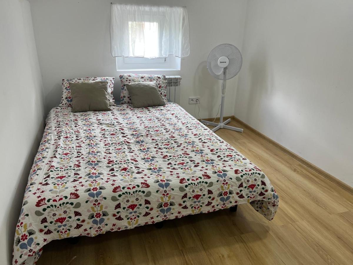Green Apartment - Free Parking Katowice Extérieur photo