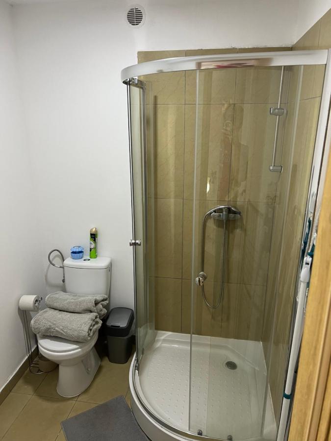 Green Apartment - Free Parking Katowice Extérieur photo